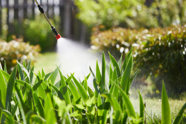 24/7 Emergency Mosquito Control experts in Garrett, IN